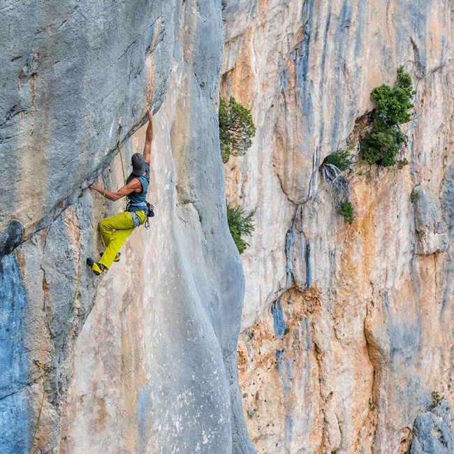 grivel trend