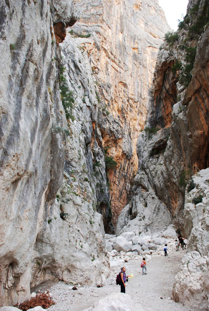 storia arrampicata libera