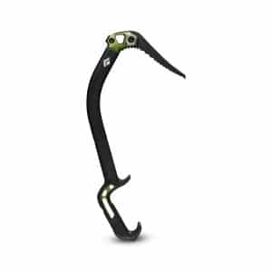hydra